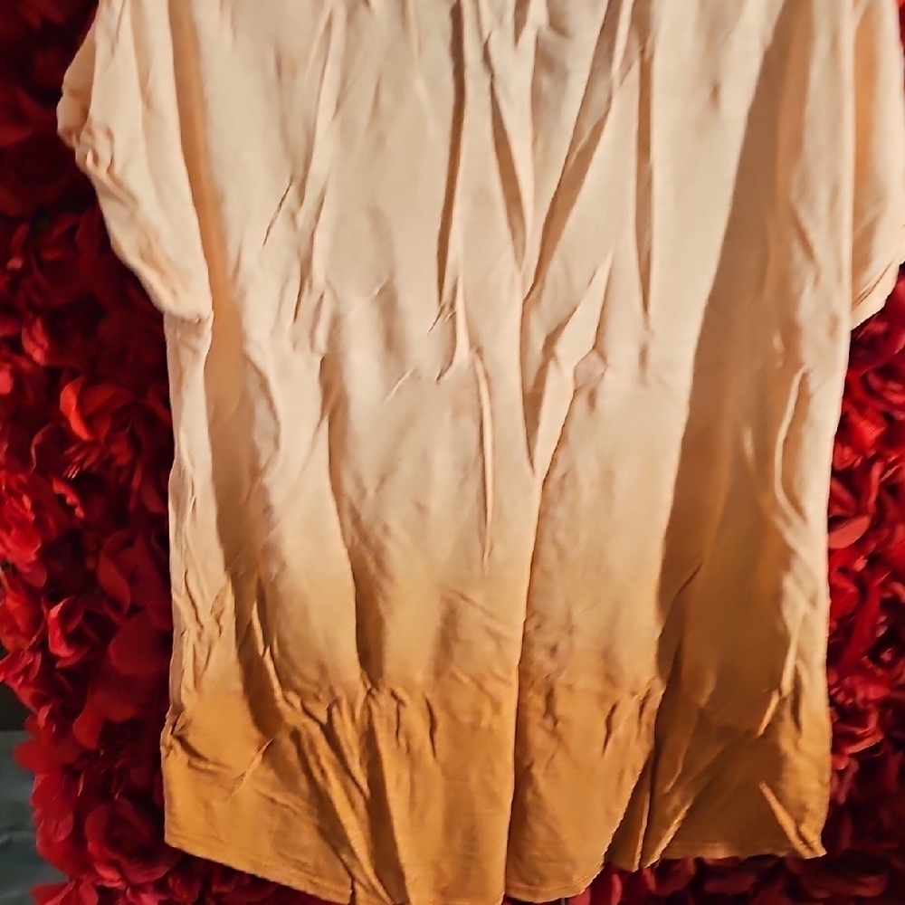 Sonoma Women's Orange Ombre Dragonfly Colored Top Sixe XLarge - Picture 6 of 6